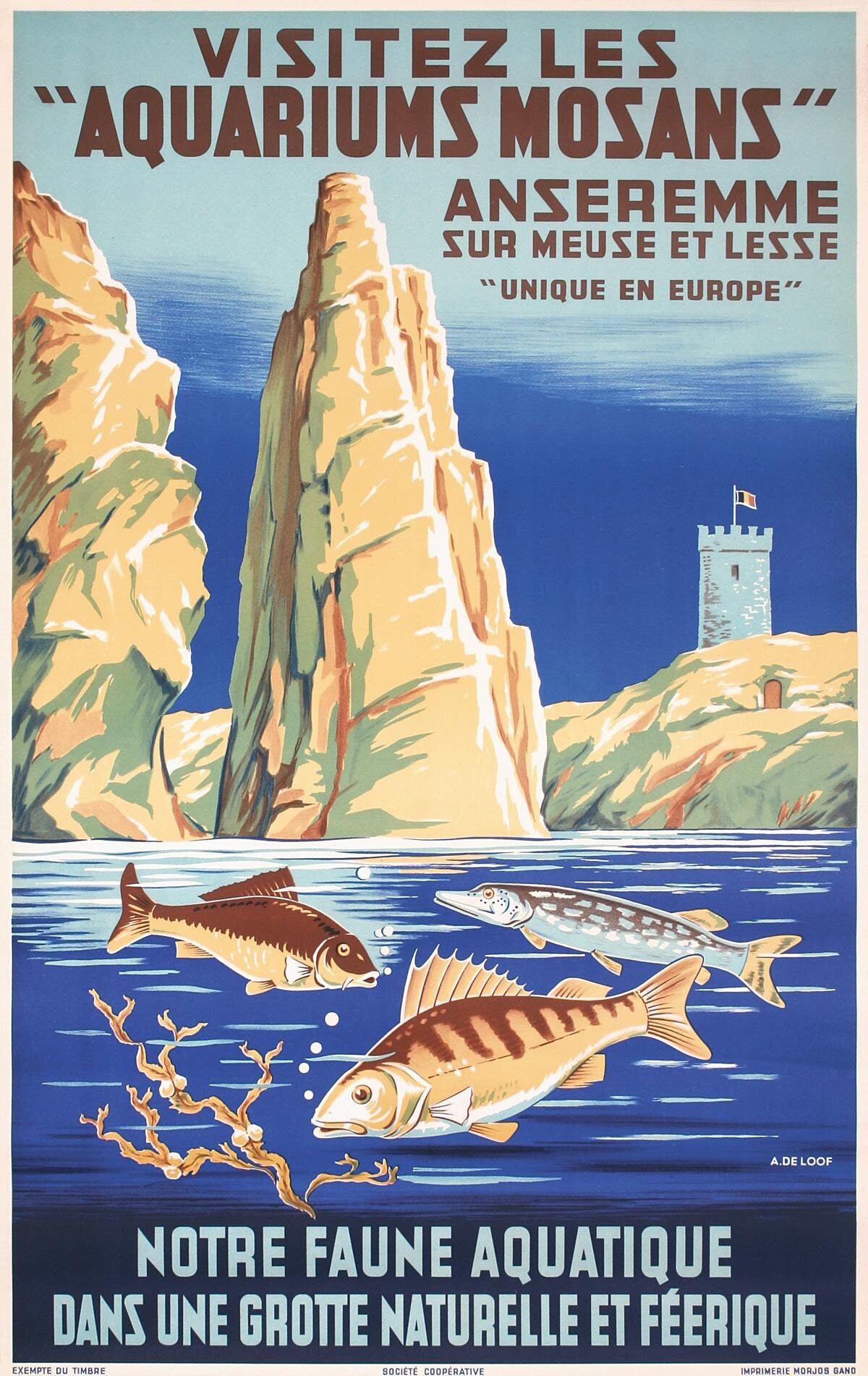 Vintage Aquarium Mosans Travel Poster: Belgian Lithograph, 1930s
