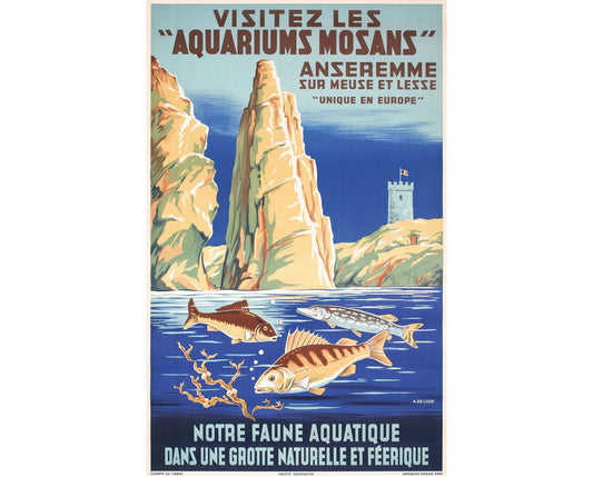 Vintage Aquarium Mosans Travel Poster: Belgian Lithograph, 1930s